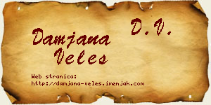 Damjana Veles vizit kartica